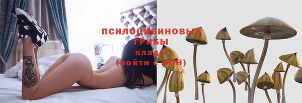 первитин Дмитров