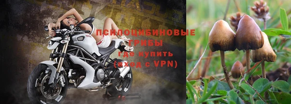 первитин Дмитров
