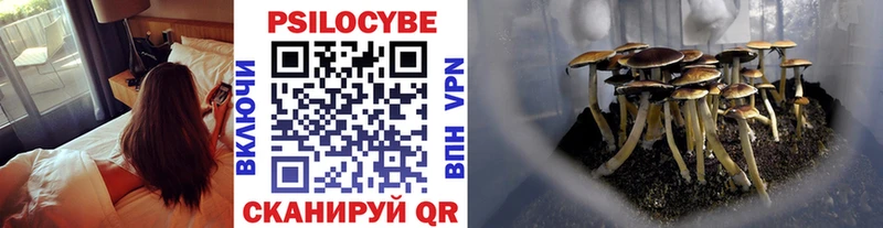 Купить закладки  Долгопрудный  Галлюциногенные грибы Psilocybine cubensis 