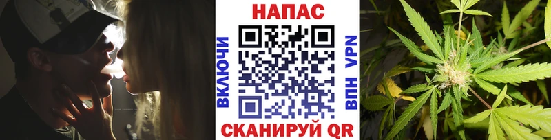 Купить закладки  Долгопрудный  Шишки марихуана MAZAR 